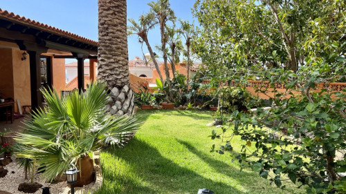 Alondra Chuchurumbache Home - Gallery - 55