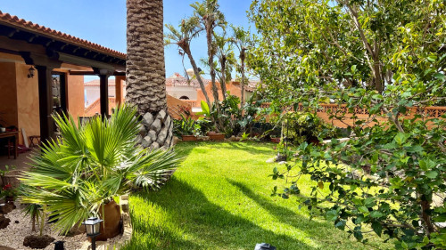 Alondra Chuchurumbache Home - Gallery - 40