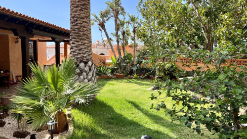 Alondra Chuchurumbache Home - Gallery - 9