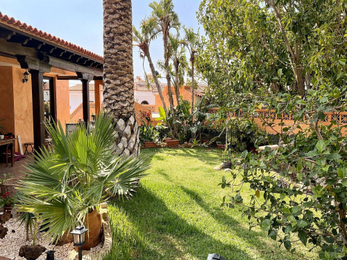 Alondra Chuchurumbache Home - Gallery - 37