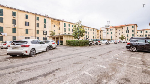 Pleasant 1-bedroom flat in Petrarca