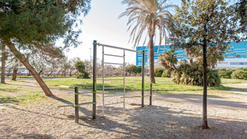 Sunny studio in the heart of Livorno