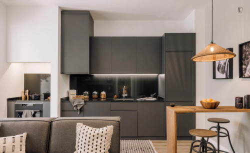 Charismatic 1-bedroom apartment close to Entrecampos train station  - Gallery -  5