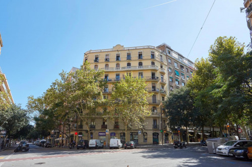 Homely 1-bedroom apartment close to Encants metro station