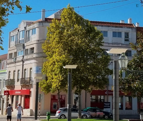 Luminous single bedroom next to Montijo Bus Station - TST Terminal  - Gallery -  5