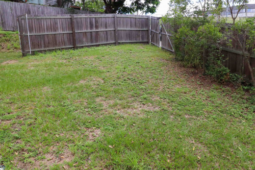 Taringa  - Gallery -  2