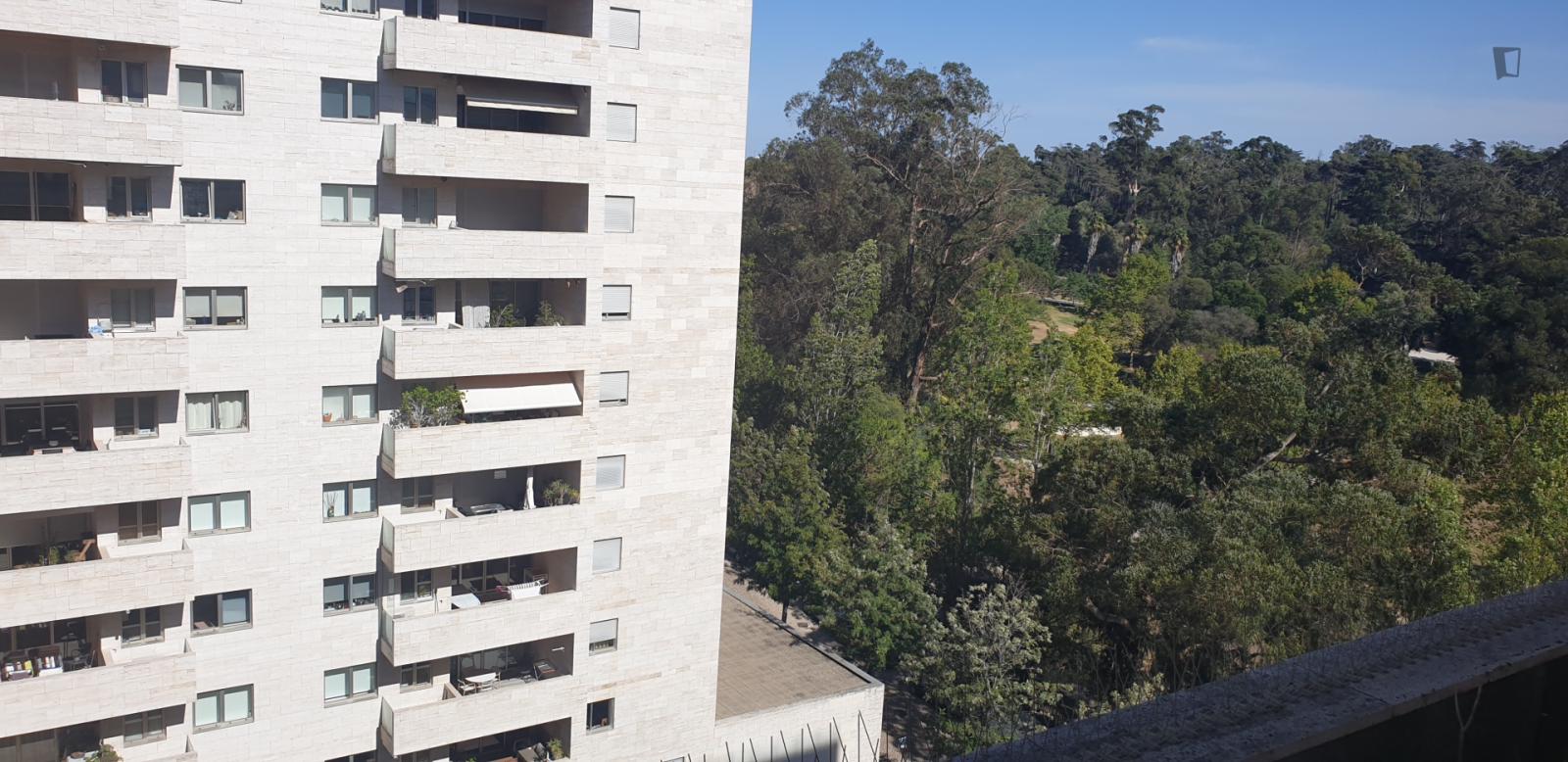  Nice Single Bedroom With Private Toilet Next To Lumiar Metro Station  -  Nice single bedroom with private toilet next to Lumiar metro station  - Gallery -  1