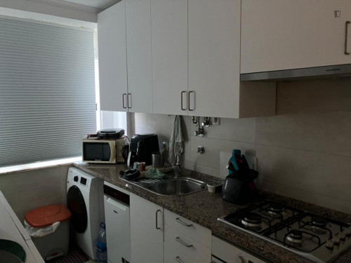 Delightful single bedroom near Restelo Stadium