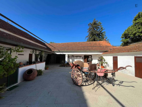 2-bedroom house, with outdoor area - Gallery - 13