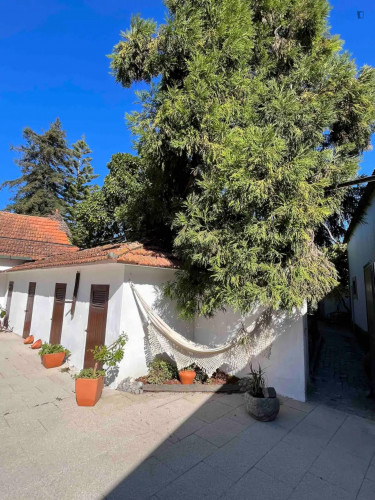 2-bedroom house, with outdoor area - Gallery - 15