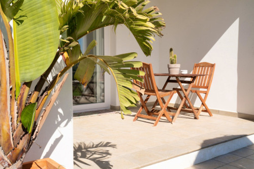 Pozo Home - Gallery - 17