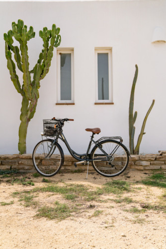 Pozo Home - Gallery - 91
