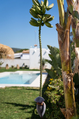 Pozo Home - Gallery - 12