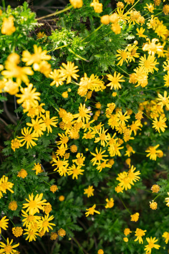 Modern Coliving Retreat for Remote Workers in Scenic Zahora Coastal Paradise