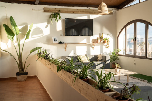 Pozo Home - Gallery - 84