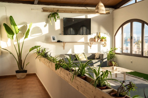Pozo Home - Gallery - 21