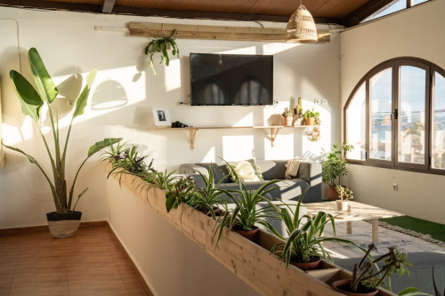 Pozo Home - Gallery - 6