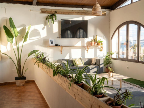 Pozo Home - Gallery - 110