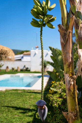 Pozo Home - Gallery - 14