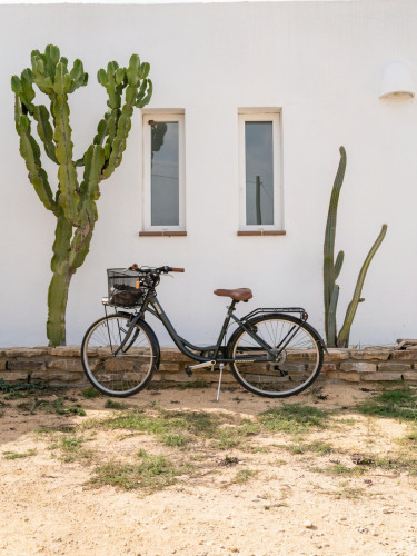 Pozo Home - Gallery - 119
