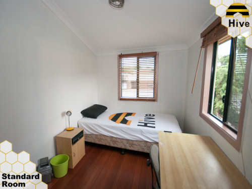 Windsor - Gallery - 7
