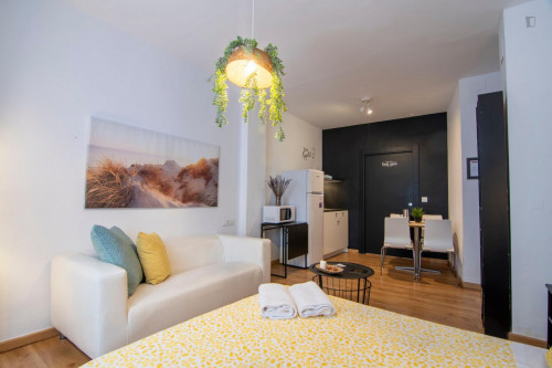 Classy studio near Iglesia San Antón