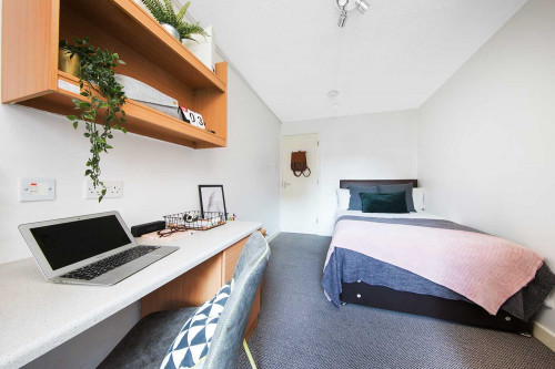Rose House - Gallery - 8