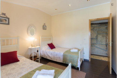 Lovely 4-bedroom house in Travanca - Gallery - 74