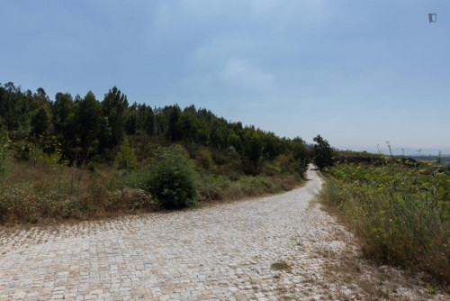 Lovely 4-bedroom house in Travanca - Gallery - 24