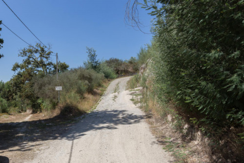 Lovely 4-bedroom house in Travanca - Gallery - 27
