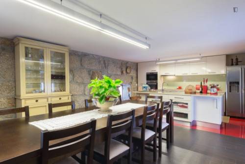 Lovely 4-bedroom house in Travanca - Gallery - 53