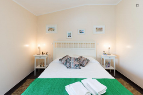 Lovely 4-bedroom house in Travanca - Gallery - 77