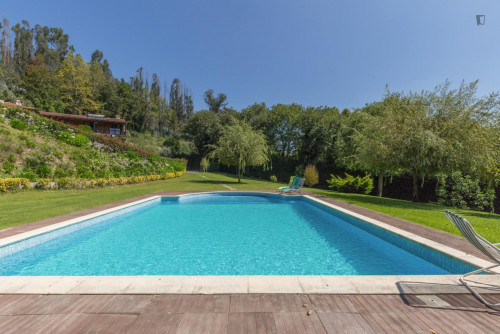 Lovely 4-bedroom house in Travanca - Gallery - 37