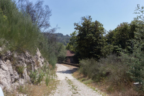 Lovely 4-bedroom house in Travanca - Gallery - 25