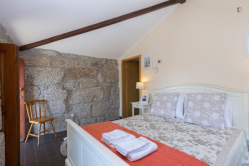 Lovely 4-bedroom house in Travanca - Gallery - 64