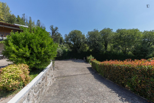 Lovely 4-bedroom house in Travanca - Gallery - 23