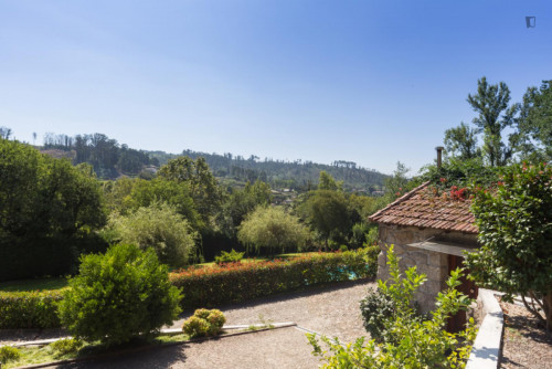 Lovely 4-bedroom house in Travanca