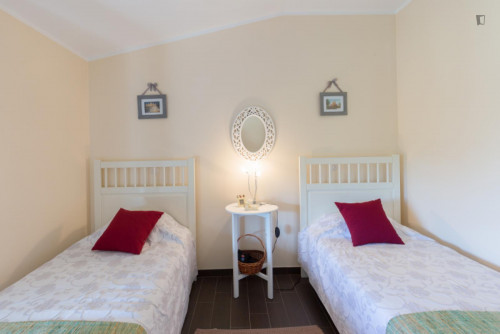 Lovely 4-bedroom house in Travanca - Gallery - 75