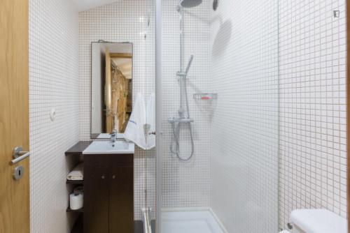 Lovely 4-bedroom house in Travanca - Gallery - 83