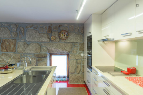 Lovely 4-bedroom house in Travanca - Gallery - 47