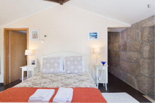 Lovely 4-bedroom house in Travanca - Gallery - 58