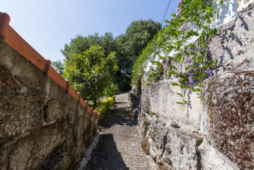 Lovely 4-bedroom house in Travanca - Gallery - 10