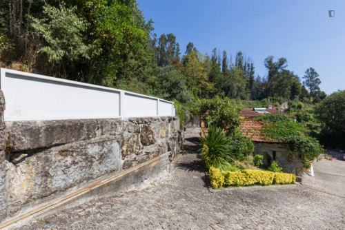 Lovely 4-bedroom house in Travanca - Gallery - 7