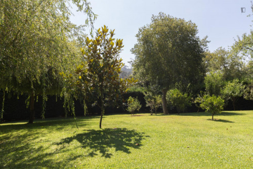 Lovely 4-bedroom house in Travanca - Gallery - 38