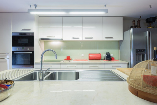 Lovely 4-bedroom house in Travanca - Gallery - 50