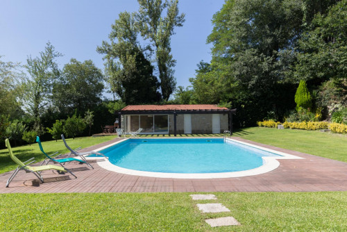 Lovely 4-bedroom house in Travanca - Gallery - 39