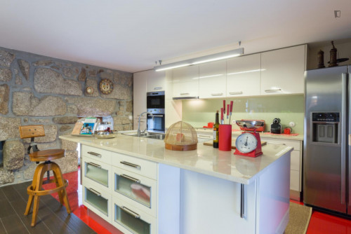 Lovely 4-bedroom house in Travanca - Gallery - 51