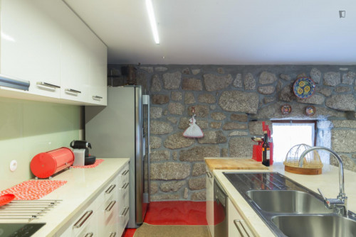 Lovely 4-bedroom house in Travanca - Gallery - 49