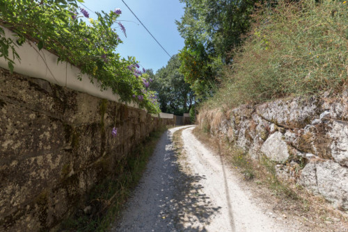 Lovely 4-bedroom house in Travanca - Gallery - 32
