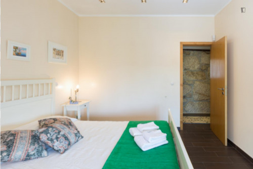 Lovely 4-bedroom house in Travanca - Gallery - 79